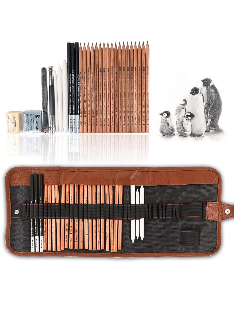 Professional Sketching Drawing Art Tool Kit With Graphite Pencils 29 Pieces Charcoal Pencils Paper Erasable Pen Craft Knife without Sketchbook with Canvas Rolling Pouch - Image 1