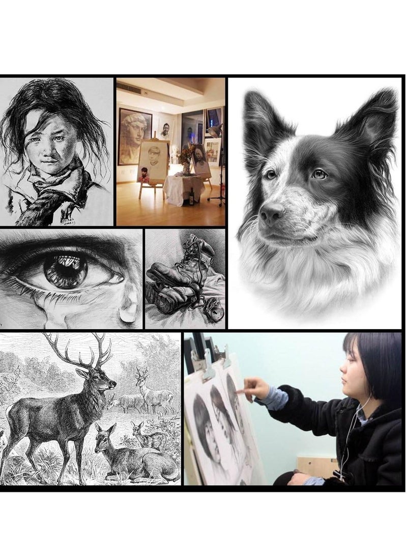 Professional Sketching Drawing Art Tool Kit With Graphite Pencils 29 Pieces Charcoal Pencils Paper Erasable Pen Craft Knife without Sketchbook with Canvas Rolling Pouch - Image 3