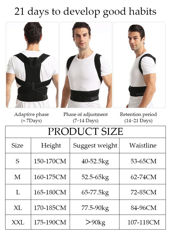 DUNISO Posture Corrector for Women and Men, Back Brace Fully Adjustable & Comfy, Muscle Memory Support Straightener, Providing Pain Relief from Neck, Shoulder, and Upper and Lower Back  - Image 2