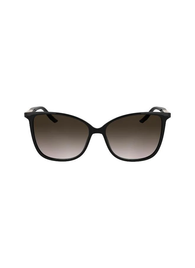 CALVIN KLEIN Butterfly Sunglasses