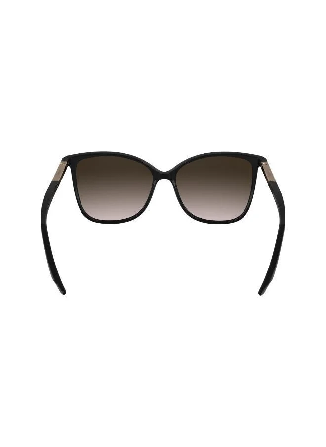 CALVIN KLEIN Butterfly Sunglasses