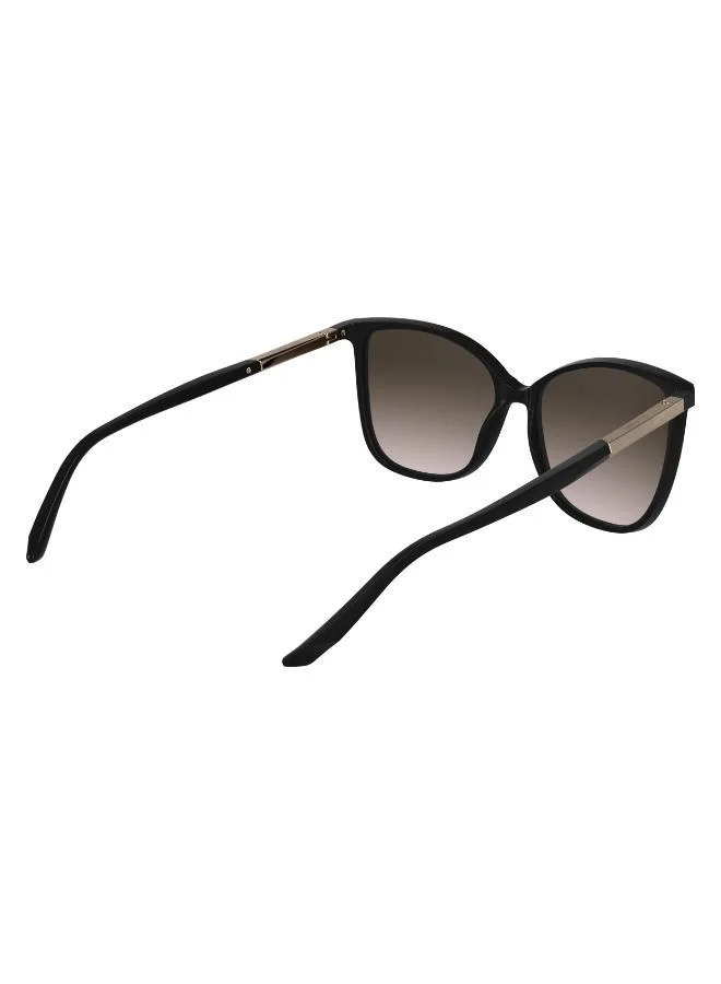 CALVIN KLEIN Butterfly Sunglasses