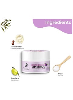 PILGRIM Pilgrim Spanish Squalane Lip Scrub (Blueberry) for Women & Men for Smooth Lips | Lip Scrub for Dark Lips | Lip Scrub with Sugar & Shea Butter for gentle exfoliation, hydrated, smooth & soft lips| 8 gm  - Image 4