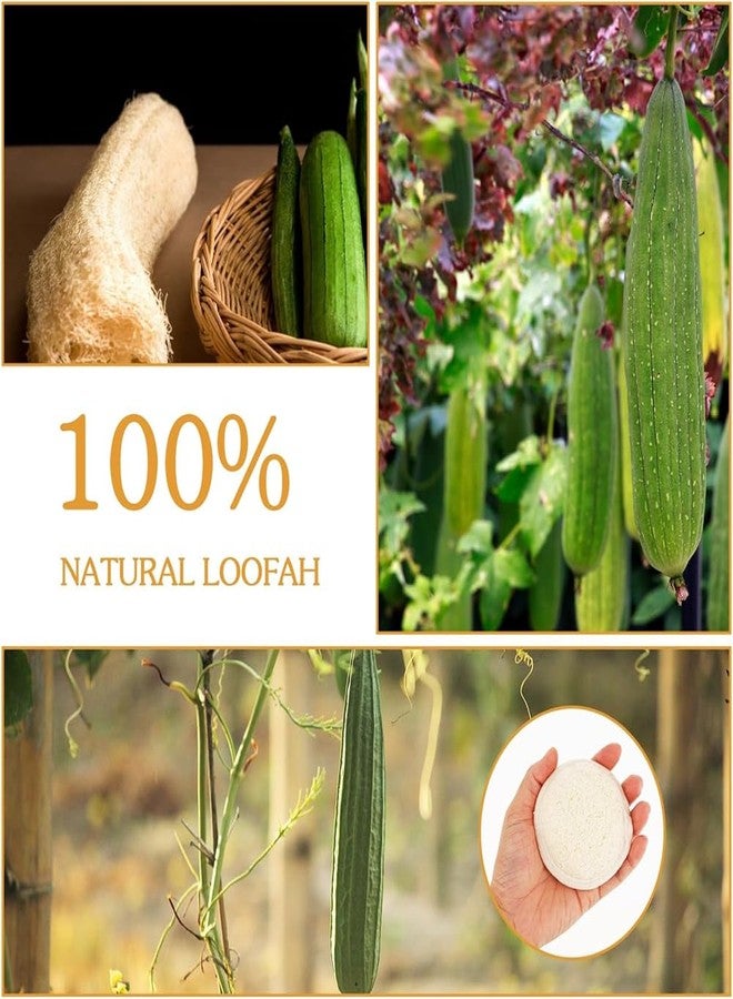 Much Hotter 6 Pack Natural Loofah Exfoliating Facial Scrubber, Made with Natural Shower Loofah Sponge, Manual Facial Cleansing and Makeup Remover Brush，Bath Shower Loofah Sponge, for Face That Gets You Clean - Image 2