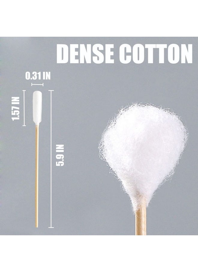 Quanzhou Chenchenchen E-Commerce Co.,Ltd 6 Inch Long Cotton Swabs for Dogs ，Cat，Small Pet Ears Cleaning, Pet Cotton Ear Buds Swabs,Ear Cleaning Swabs with Bamboo Handle,Apply for Daily Ear Cleaning Removes Wax, Dirt (100pcs)  - Image 3