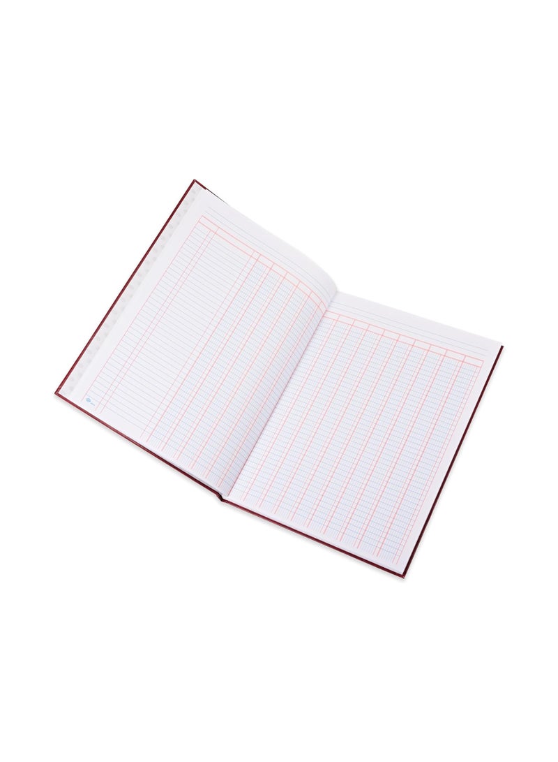 FIS Analysis Book, 250X345MM 16, Column, 96 Sheets Maroon Color-FSAN16 - Image 2