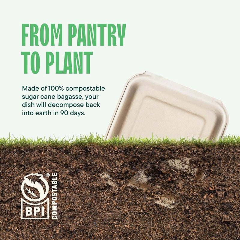 Stack Man [Bulk - 200-Count] 100% Compostable to Go Containers 9x9" Clamshell Take Out Food Container with Hinged Lid - Disposable Togo Plates - Biodegradable Eco-Friendly Takeout Box Made of Sugar Cane Bagasse - Image 4