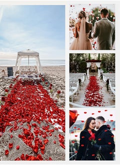 Beirui 1000-Piece Artificial Rose Petals For Flower Decoration Red 5x5.5cm  - Image 3