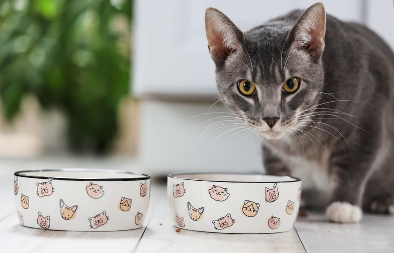 Pearhead Ceramic Bowl, Holds 2 Cups, Cute Whisker-Friendly Dish with Cat Face Design, Non-Slip, Microwave and Dishwasher Safe, Small/Medium - Image 3