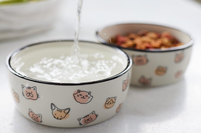 Pearhead Ceramic Bowl, Holds 2 Cups, Cute Whisker-Friendly Dish with Cat Face Design, Non-Slip, Microwave and Dishwasher Safe, Small/Medium - Image 5