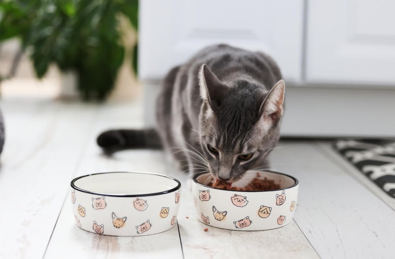Pearhead Ceramic Bowl, Holds 2 Cups, Cute Whisker-Friendly Dish with Cat Face Design, Non-Slip, Microwave and Dishwasher Safe, Small/Medium - Image 4