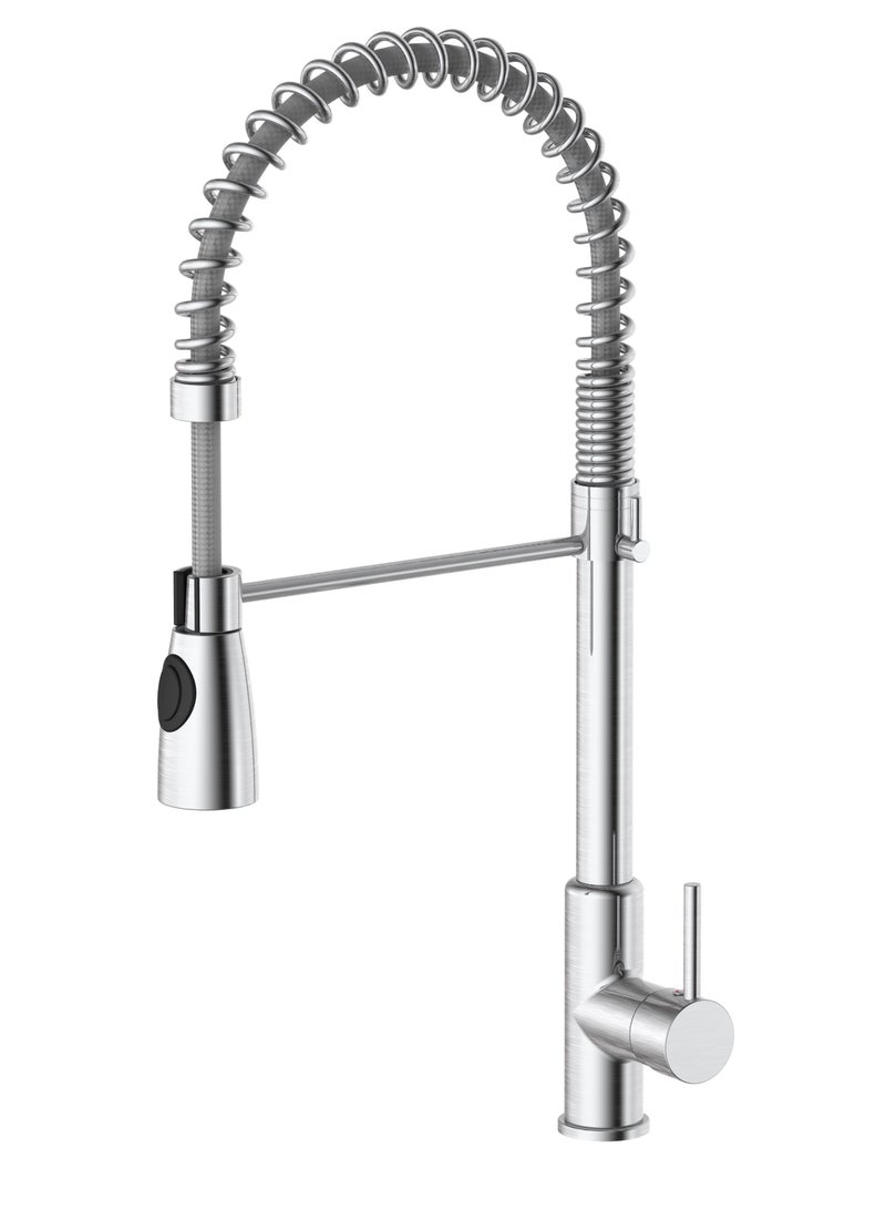 HESANIT Spring Sink Mixer with Two-Function Sprayer - Image 1