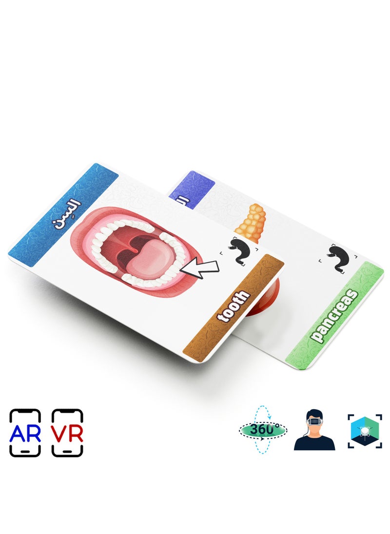 Generic - Flash Cards - Augmented Reality - Mega Package - Image 1