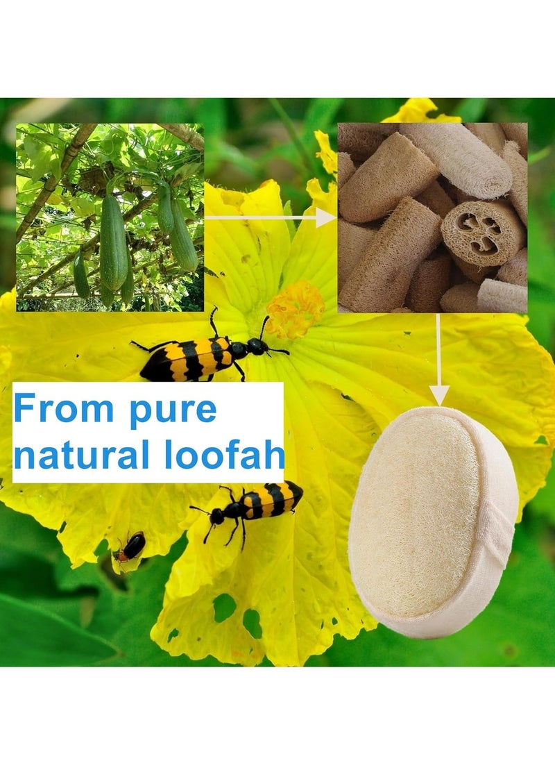 Oasisgalore - 2Pack Loofah Shower Sponge Exfoliating Body Scrubber Spa-Grade Skin Care for Men or Women Shower - Image 1