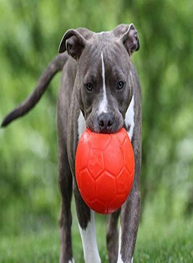 Jolly Pets Medium Soccer Ball Floating-Bouncing Dog Toy, 6 inch Diameter, Orange (SB06 OR) - Image 2