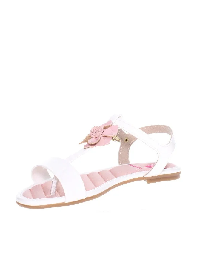 موليكينها صنادل نسائية بحزام خلفي - صنادل نسائية أنيقة وداعمة بحزام خلفي