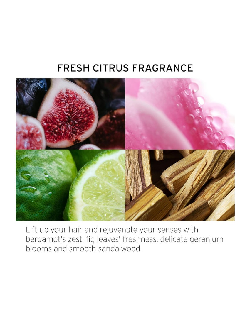 Fekkai Clean Stylers Straight Balm Mini 50ml - Image 2