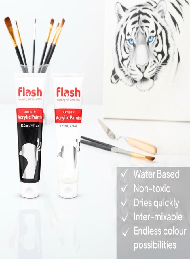 فلاش أنابيب طلاء أكريليك فلاش ١٢٠ مل، عبوة من قطعتين (عبوة مشتركة من الأسود والأبيض) | ألوان أكريليك للرسم والحرف اليدوية والمشاريع المدرسية | مجموعة طلاء فنية غير سامة للمبتدئين والطلاب - Image 5