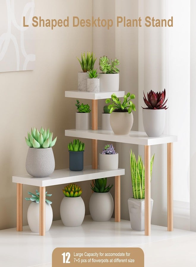 OcBuct Small Plant Stand Shelf,3 Tiers Wood Long Desktop Flower Pot Holder Racks for Window Sill,Table,Countertop Organizer Display Stand Shelves (Angle Adjustable,White) - Image 3