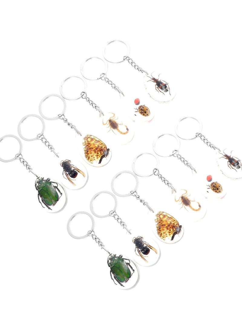 GGOOT Insects Samples Stones Keychain Toy: 12pcs Insect Specimen Charm Insect in Resin Specimen Collection Paperweights Keychain Amber Fossil Pendant Gift - Image 1