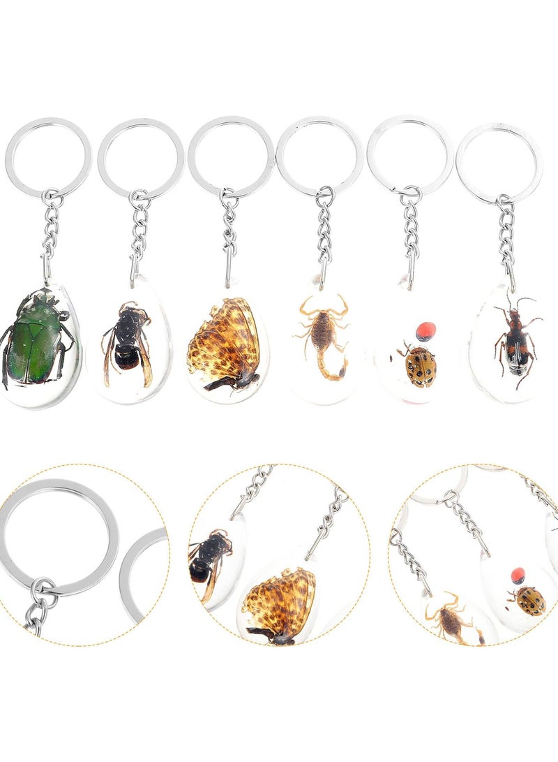 GGOOT Insects Samples Stones Keychain Toy: 12pcs Insect Specimen Charm Insect in Resin Specimen Collection Paperweights Keychain Amber Fossil Pendant Gift - Image 5