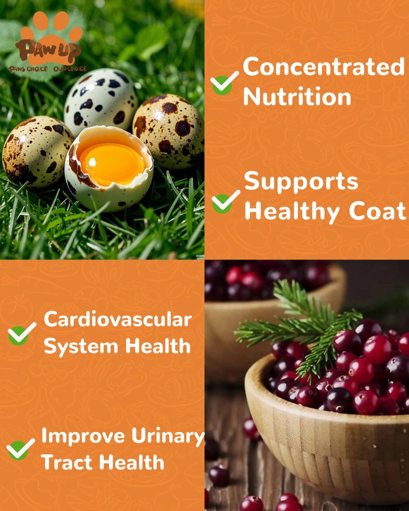 PAWUP Freeze Dried Cat & Dog Treats, Natural Quail Egg Yolk, Rich in Antioxidants Cranberry Added, High-Protein Pet Snacks for Coat & Urinary Health, 3.5 oz - Image 3