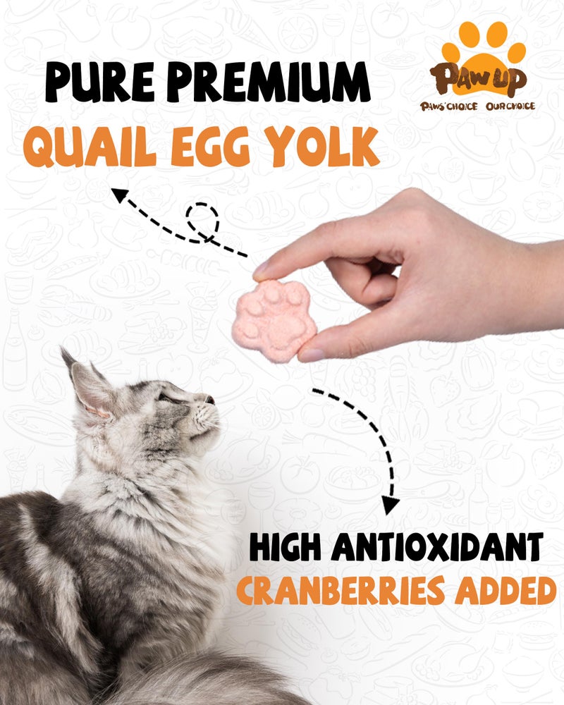 PAWUP Freeze Dried Cat & Dog Treats, Natural Quail Egg Yolk, Rich in Antioxidants Cranberry Added, High-Protein Pet Snacks for Coat & Urinary Health, 3.5 oz - Image 2