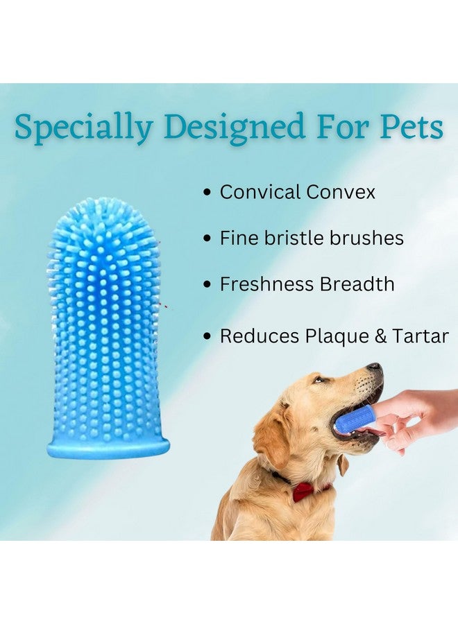 مجموعة تنظيف/تزيين 4 في 1 للحيوانات الأليفة تتكون من مشط بيضاوي ومشط ثنائي الجانب وقفاز مهدئ وفرشاة أسنان سيليكون للأصابع | مناسبة للكلاب والجراء والقطط - Image 5