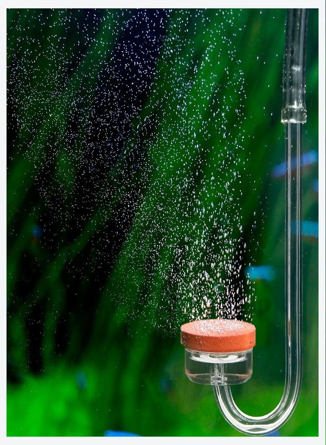 Clscea CO2 Diffuser for Aquarium Plant Mini CO2 Atomizer, U-Shaped-M - Image 2