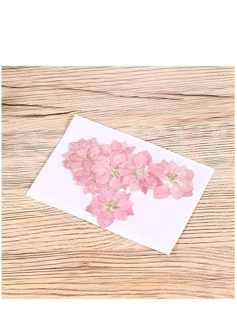 Suntown Dried Pressed Flower 12 Pcs Lifelike Small Flower Ornaments Nail Art Little Pressed Real Dried Flower Material for Hand DIY Phone Case Specimen - Image 3