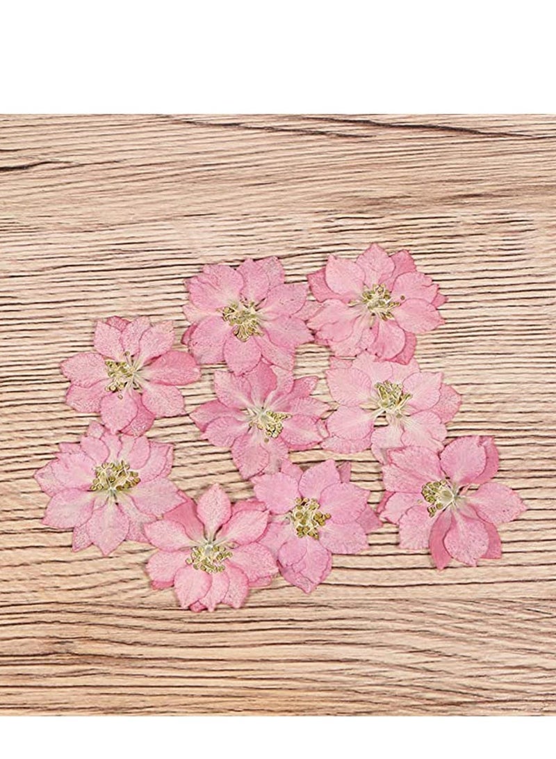 Suntown Dried Pressed Flower 12 Pcs Lifelike Small Flower Ornaments Nail Art Little Pressed Real Dried Flower Material for Hand DIY Phone Case Specimen - Image 2