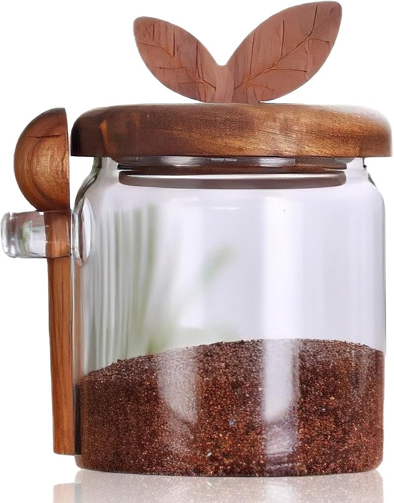 TERRIFI Easy transit optimized build Glass Sugar Bowls with Airtight Lids and Spoons, 13.5oz Kitchen Storage Jars for Coffee Bar, Brown Sugar, Salt, Tea, Spices, Durable Clear Containers for Baking and Pantry Organization Global simple assemble options - Image 1