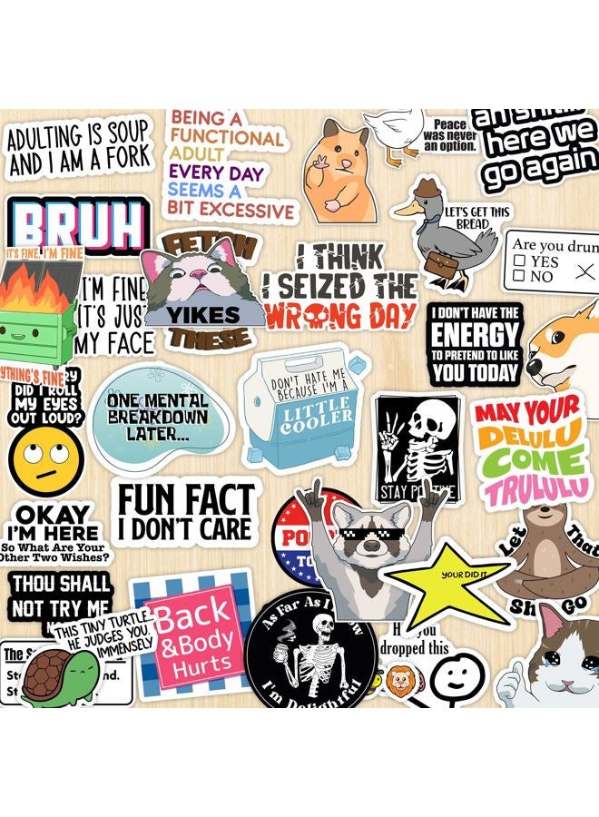 Debinolo Pack of 203 Funny Stickers for Adults Quotes, Water Bottles, Cool Accessories and Waterproof Laptop, Bumper, Phone, Helmets, Wall, Window Decals, Decor - Image 3