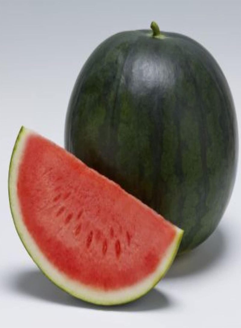 جي جوت 15 بذور بطيخ نزهة حلوة من المملكة المتحدة، فاكهة استوائية غنية بالعصير للزراعة والنمو - Image 2