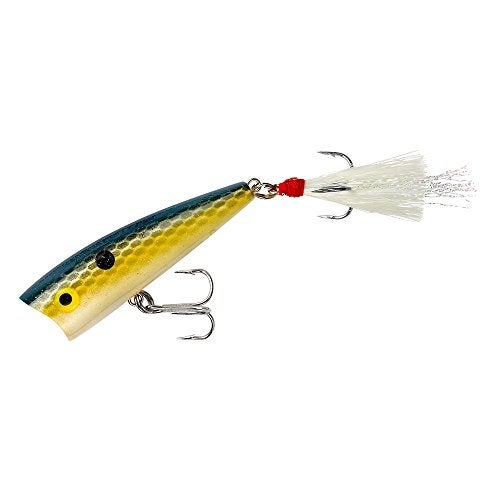 Rebel Lures Pop-R Topwater Popper Fishing Lure, Foxy Shad, Teeny Pop-R (1/8 oz), 2-Inch - Image 2