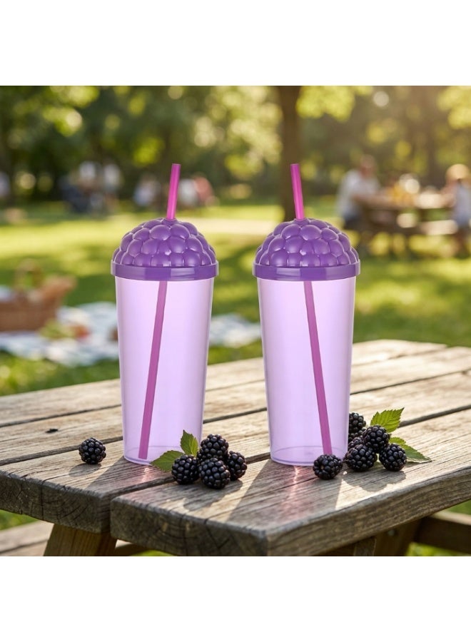 QLUX Plastic 700ml Berry Design Juice Cup with Straw 2 Pcs Set - Image 1