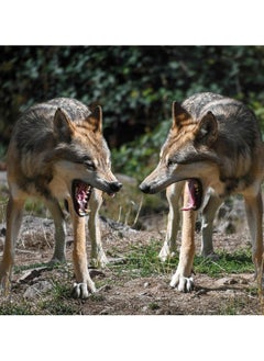 Hunting - The Ultimate Book  - Image 5