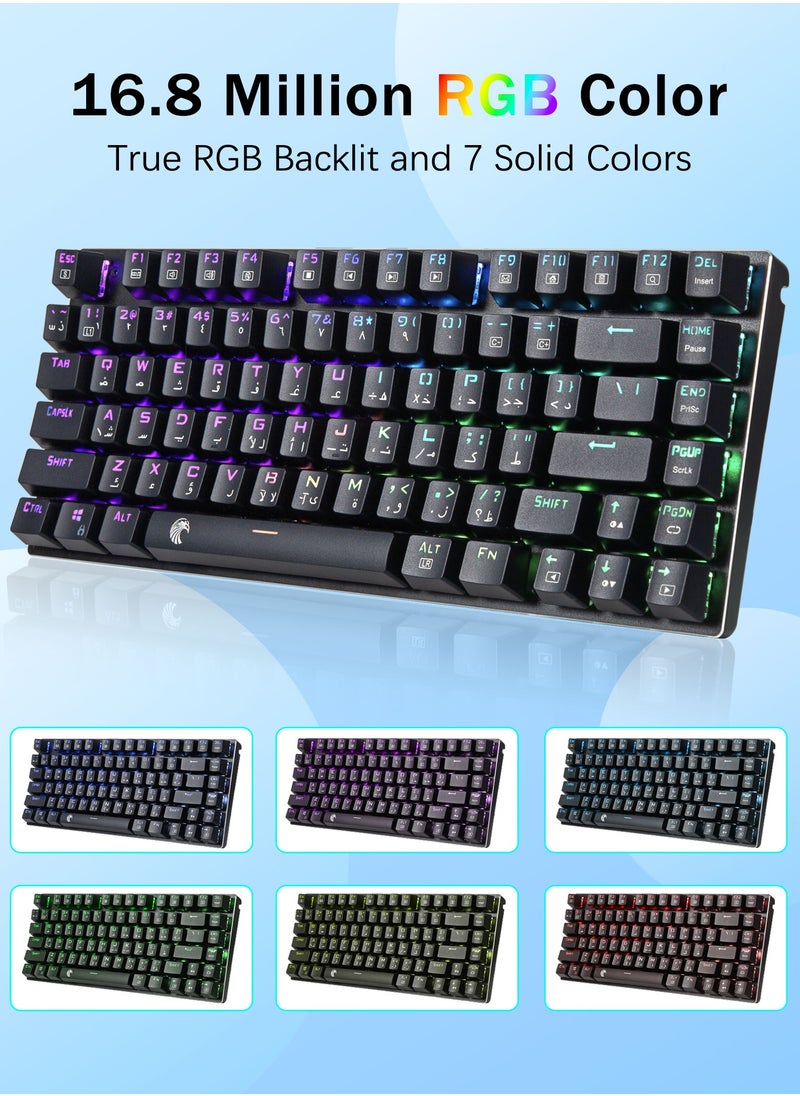 لوحة مفاتيح ميكانيكية للألعاب الميكانيكية Z-88 إنجليزي وعربي RGB، لوحة معدنية، مفاتيح خطية حمراء، لوحة مفاتيح ذات تخطيط 75%، 81 مفتاحًا مدمجًا لأجهزة الماك والكمبيوتر الشخصي، أسود