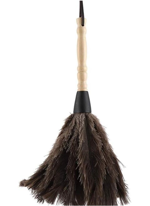 Ostrich Feather Duster, Long Handle Dusters for Cleaning, Static Duster for Cleaning High Cobweb, Cleaner Blinds for Home & Business