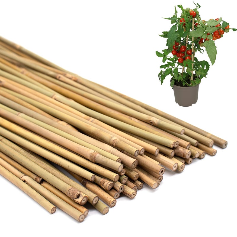 POLIUMB 50PCS Plant Stakes,Natural Bamboo Stakes,Garden Stakes for Indoor and Outdoor Plants,POLIUMB Poles Sticks for Tomatoes,Beans,Flowers,Trees Potted and Climbing Plants-18 inches - Image 1