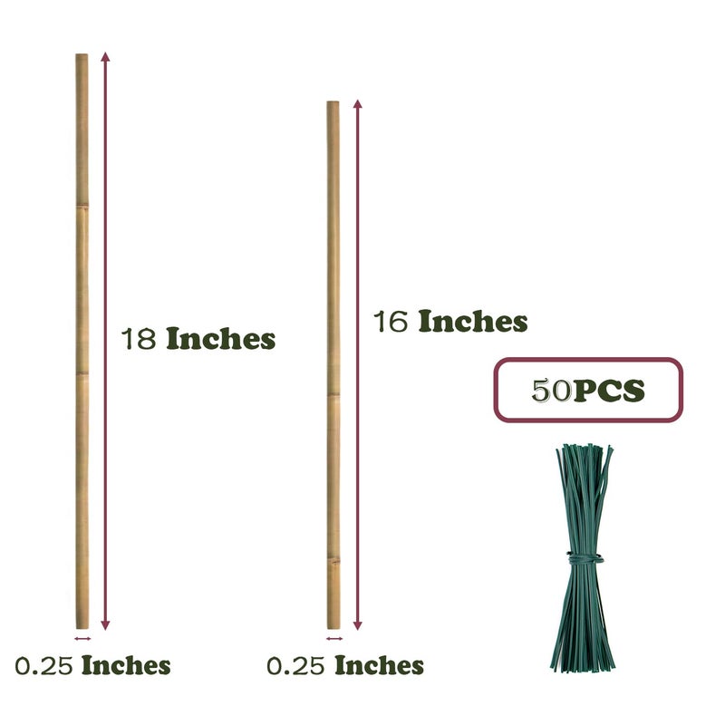 POLIUMB 50PCS Plant Stakes,Natural Bamboo Stakes,Garden Stakes for Indoor and Outdoor Plants,POLIUMB Poles Sticks for Tomatoes,Beans,Flowers,Trees Potted and Climbing Plants-18 inches - Image 2