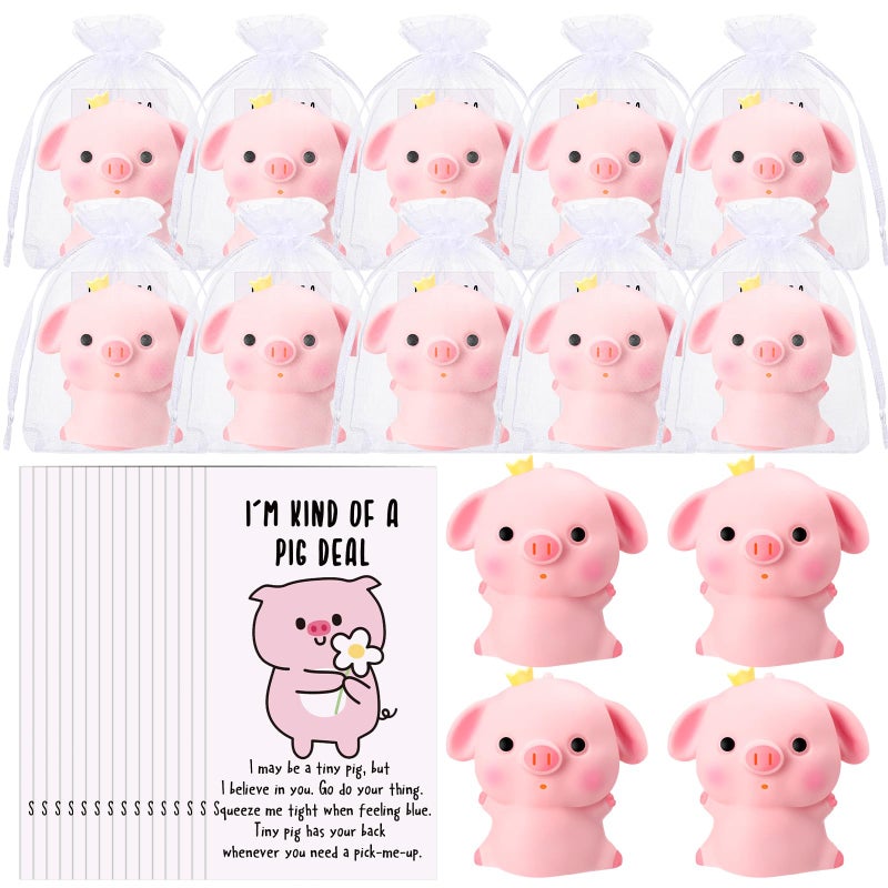 Hollowfly 10 Set Funny Pig Stress Balls Bulk Relief Squeeze Balls Inspirational Stress Reliever Employee Appreciation Gifts for Adult Coworkers Staff Volunteer - Image 3