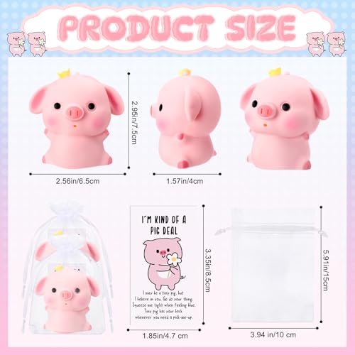 Hollowfly 10 Set Funny Pig Stress Balls Bulk Relief Squeeze Balls Inspirational Stress Reliever Employee Appreciation Gifts for Adult Coworkers Staff Volunteer - Image 5