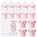 Hollowfly 10 Set Funny Pig Stress Balls Bulk Relief Squeeze Balls Inspirational Stress Reliever Employee Appreciation Gifts for Adult Coworkers Staff Volunteer - Image 2