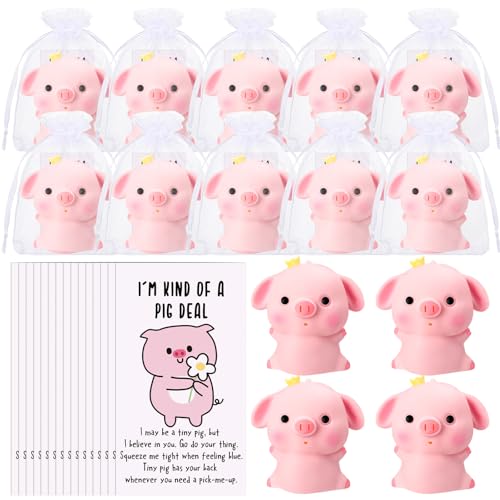 Hollowfly 10 Set Funny Pig Stress Balls Bulk Relief Squeeze Balls Inspirational Stress Reliever Employee Appreciation Gifts for Adult Coworkers Staff Volunteer - Image 1