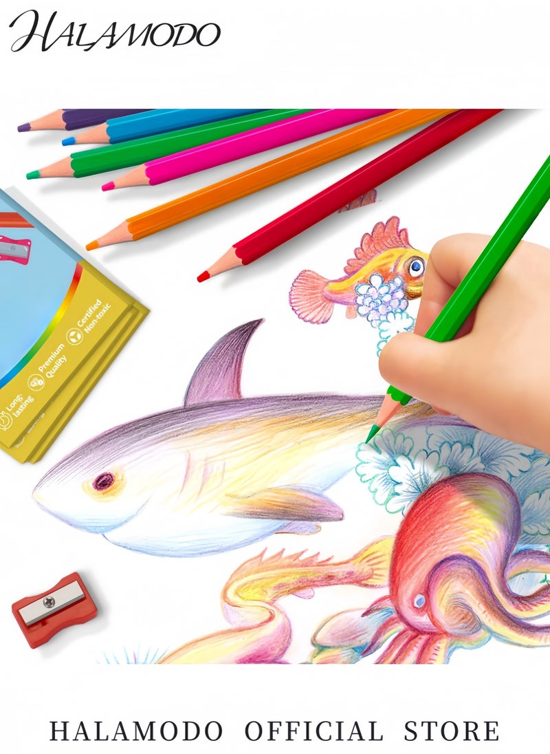 HALAMODO 12-Pack Oil-Soluble Colored Pencils Set with Soft Core for Blending & Sketching Hexagonal Ergonomic Design for Students Artists & Beginners Pre-Sharpened Art Drawing Pencils  - Image 3