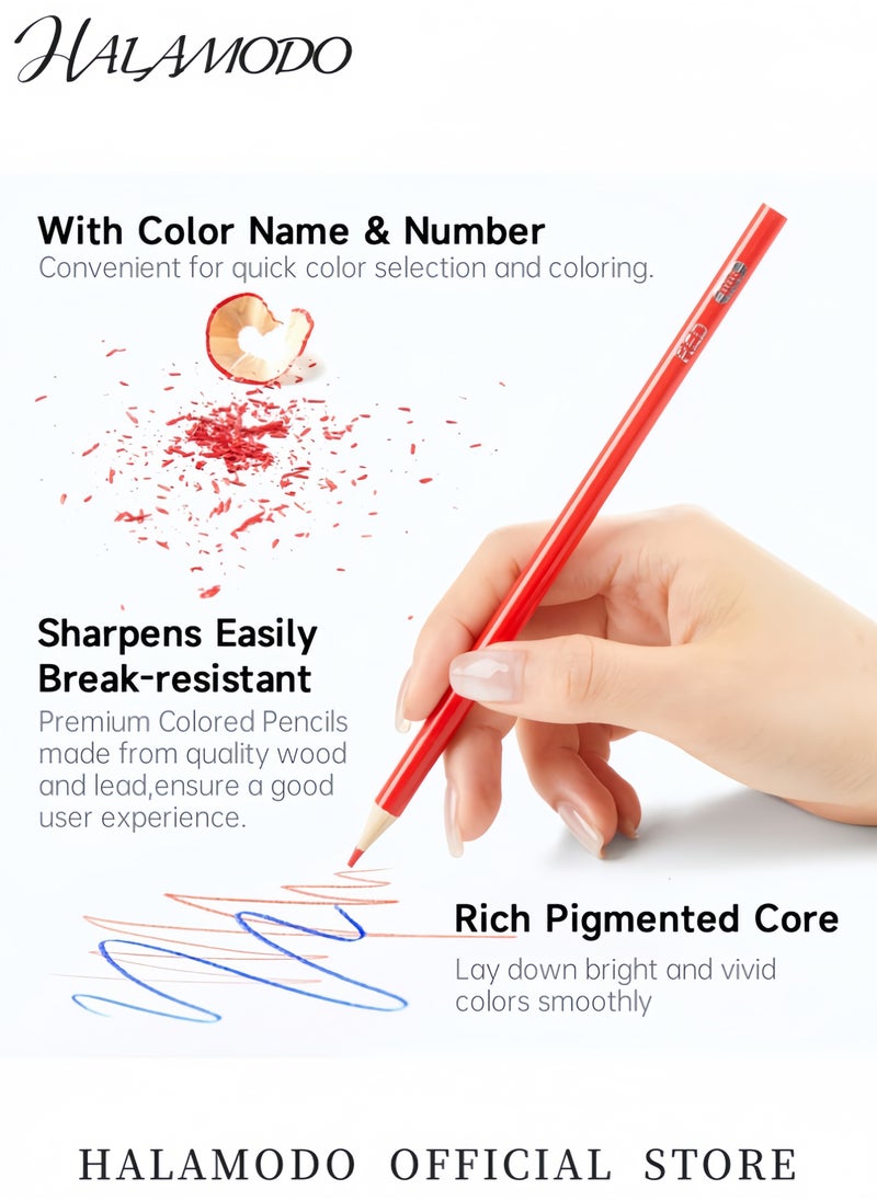 HALAMODO 12-Pack Oil-Soluble Colored Pencils Set with Soft Core for Blending & Sketching Hexagonal Ergonomic Design for Students Artists & Beginners Pre-Sharpened Art Drawing Pencils  - Image 4