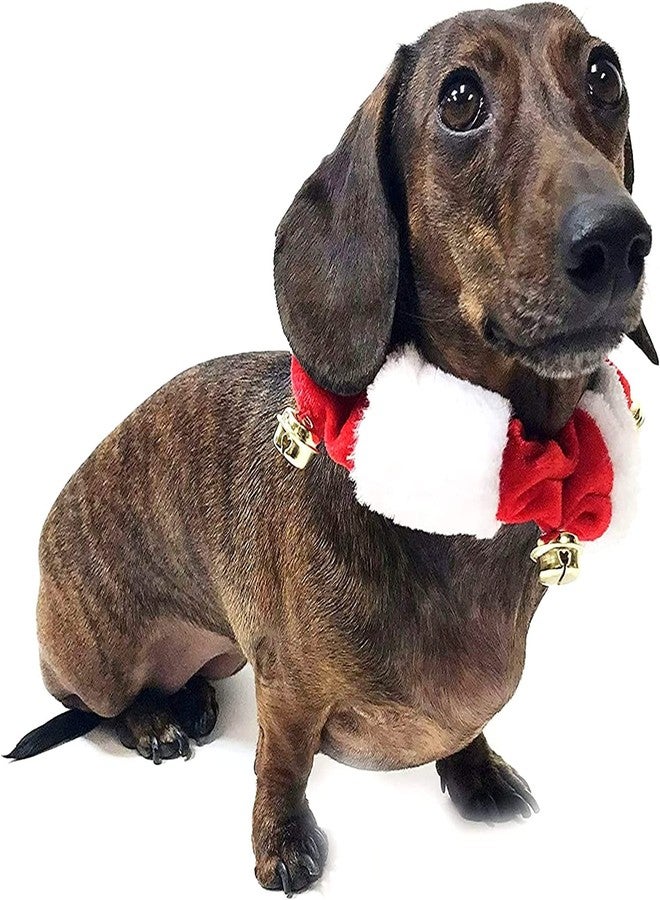 Midlee White/Red Christmas Plush Bell Collar (X-Large)-Jingle Stretchy Dog Accessory - Image 2