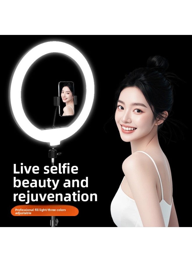 Live Light Anchor Professional Three-color Adjustable Beauty Soft Light Selfie Light Portrait Ring Large Aperture-Specification:[fill Light] 13inch Ring Light  - Image 2
