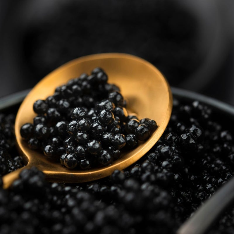Greenfit Tradino Premium Black Truffle Pearls - Gourmet Culinary Delight from Spain, 80g - Image 5